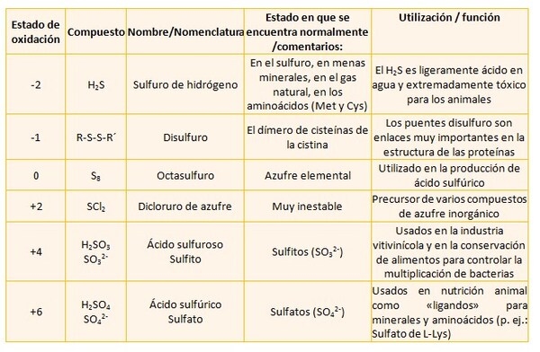 El elemento Silencioso - Image 1