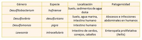 El elemento Silencioso - Image 4