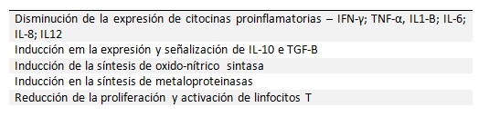 Salud intestinal en la cerda y su impacto en la producción de leche y resultados de la camada - Image 1