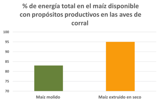 energia total en el maiz 