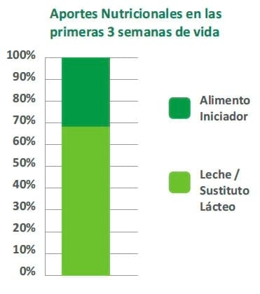 Programa Criar - Image 2