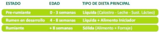 Programa Criar - Image 4