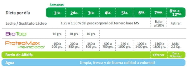 Programa Criar - Image 5