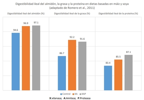 Efecto de las enzimas exógenas sobre la salud e integridad intestinal - Image 1
