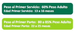Programa Recriar - Image 5