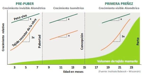 Programa Recriar - Image 6