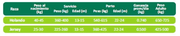 Programa Recriar - Image 3
