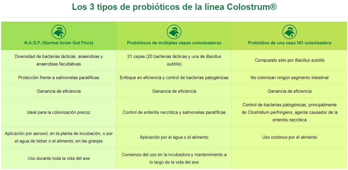 Multirresistencia bacteriana: qué es y cómo evitarla en beneficio de la salud - Image 1