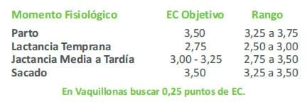 Programa Transitar - Image 3