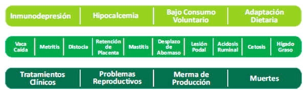 Programa Transitar - Image 1