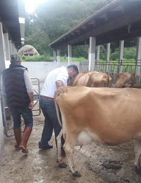granja lechera