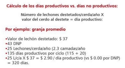 Costo y consecuencia de los dias no productivos - Image 4