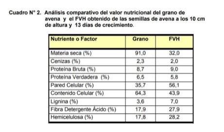 Forraje verde hidropónico - Image 2