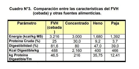 Forraje verde hidropónico - Image 3