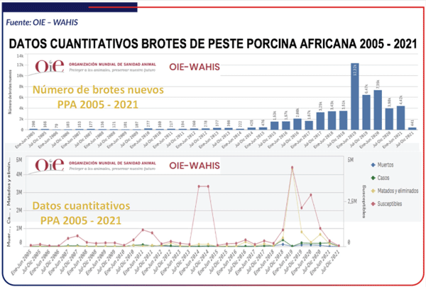Fiebre Porcina Africana; una enfermedad emergente que pone en riesgo la porcicultura mundial. - Image 5