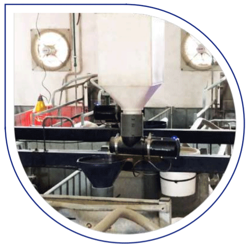 TRATAMIENTO 2: Cerdas alimentadas mediante un sistema electrónico Compact Feeder® (Nedap-Holada -3K PIG - Argentina).