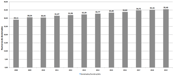 Gráfico N°1: Medias de desempeño de las 10 mejores granjas de Brasil - Agriness 2019-2020.