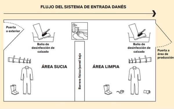 Bioseguridad y prevención de la peste porcina africana (PPA) - Image 2