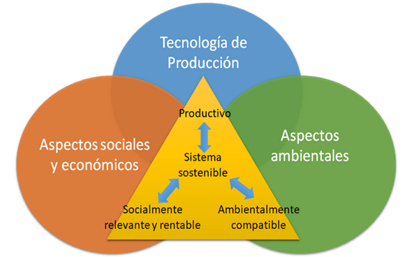Ganadería Sostenible: Un Compromiso Pendiente - Image 1