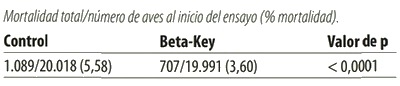 El papel de la betaína en la producción de gallinas ponedoras - Image 2