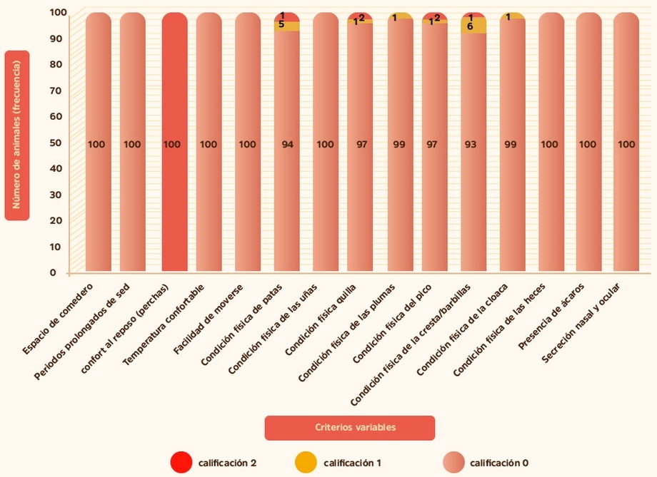 Evaluación del bienestar de gallinas ponedoras alojadas en un sistema productivo de jaulas en batería - Image 1