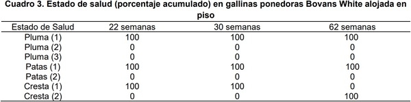 Evaluación del bienestar animal de gallinas ponedoras Bovans White alojadas en piso - Image 3