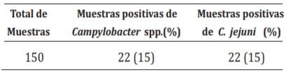 Presencia de Campylobacter spp. en muestras fecales de gallinas ponedoras de la línea Hissex Brown. 