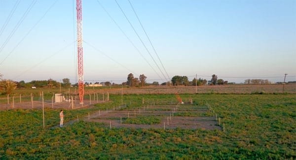 Barbechos quìmicos a Soja - Image 7