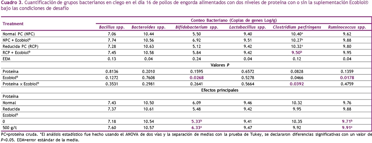El rol del Bacillus amyloliquefaciens CECT 5940 (Ecobiol®) en dietas reducidas en proteína para corregir el impacto negativo de los desafíos con patógenos entéricos en pollos de engorda - Image 5