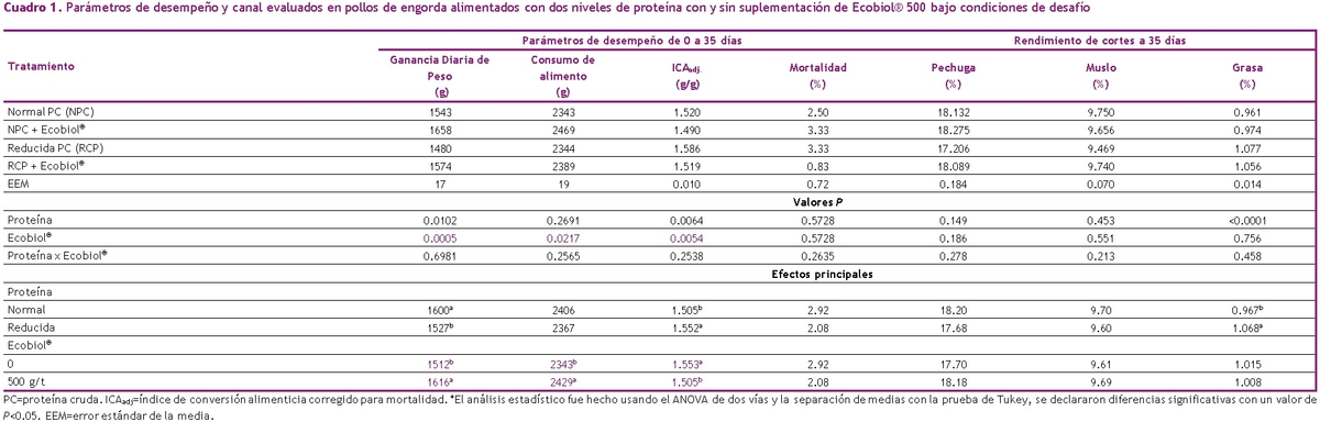 El rol del Bacillus amyloliquefaciens CECT 5940 (Ecobiol®) en dietas reducidas en proteína para corregir el impacto negativo de los desafíos con patógenos entéricos en pollos de engorda - Image 1