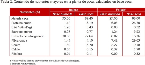 USO DE LA YUCA ALIMENTACIÓN ANIMAL - Image 5
