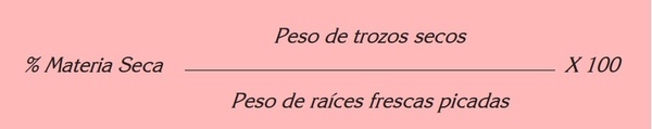 USO DE LA YUCA ALIMENTACIÓN ANIMAL - Image 9