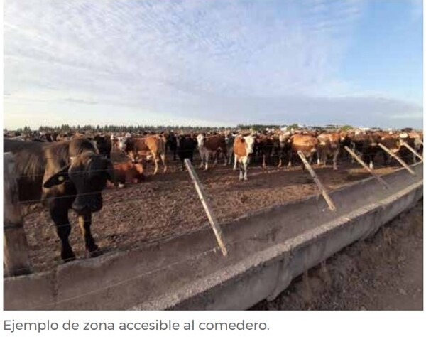 Principio de Buena Alimentación - Image 5