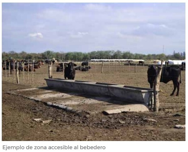 Principio de Buena Alimentación - Image 7