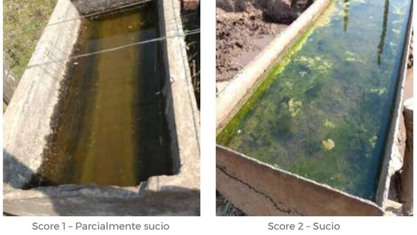 Principio de Buena Alimentación - Image 9