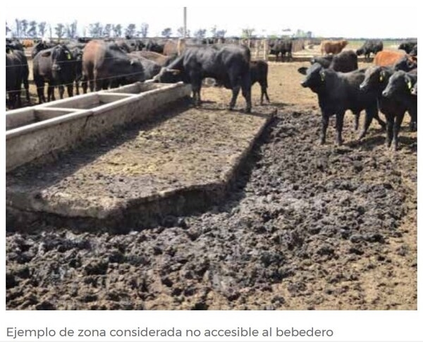 Principio de Buena Alimentación - Image 8