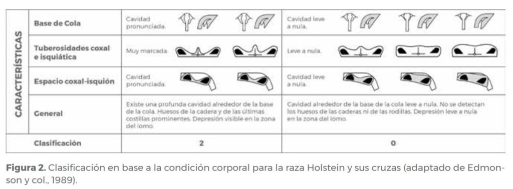 Principio de Buena Alimentación - Image 1