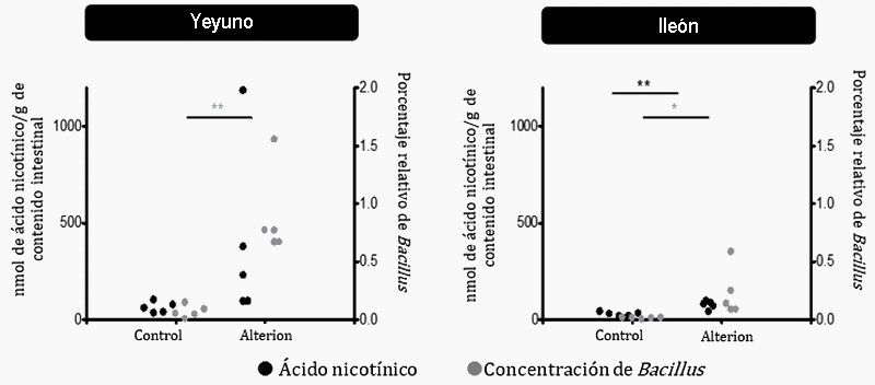 La importancia de los marcadores de la salud intestinal en la evaluación de probióticos - Image 2