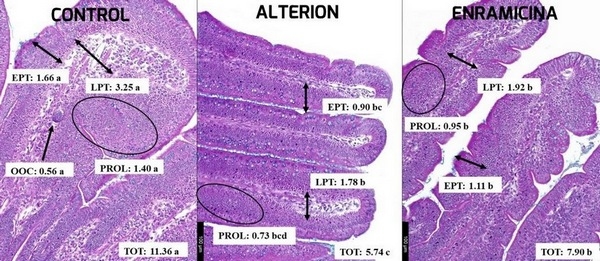La importancia de los marcadores de la salud intestinal en la evaluación de probióticos - Image 4