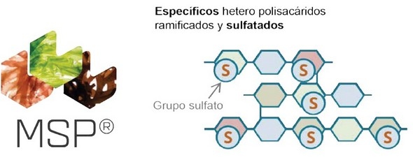 Tratamiento natural y efectivo para los desafíos infecciosos de las aves - Image 1