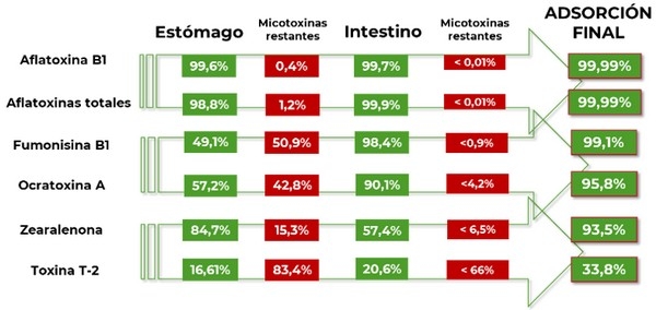 Evaluación de la eficacia de un adsorbente de un amplio espectro de micotoxinas - Image 4
