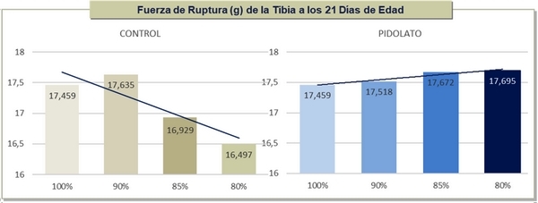 Efecto de la suplementación de pidolato de calcio sobre el desempeño productivo, la retención de Ca-P y el desarrollo óseo de pollos alimentados con dietas de bajo nivel de Ca y P* - Image 4