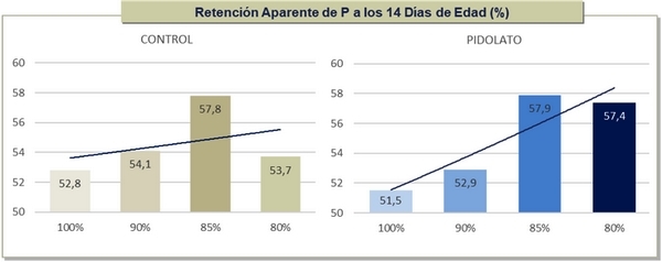 Efecto de la suplementación de pidolato de calcio sobre el desempeño productivo, la retención de Ca-P y el desarrollo óseo de pollos alimentados con dietas de bajo nivel de Ca y P* - Image 3