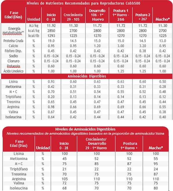 Nutrición de precisión y holística en reproductoras pesadas - Image 20