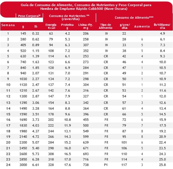 Nutrición de precisión y holística en reproductoras pesadas - Image 8