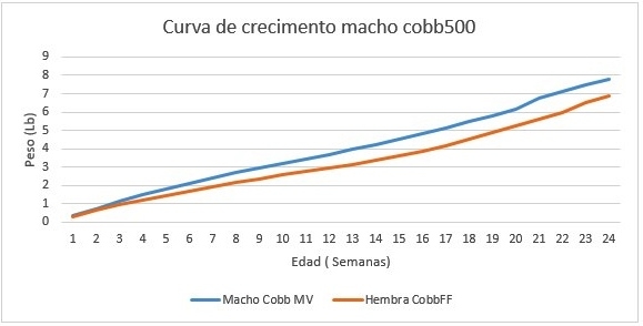 Nutrición de precisión y holística en reproductoras pesadas - Image 13