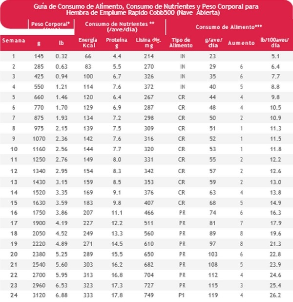 Nutrición de precisión y holística en reproductoras pesadas - Image 7