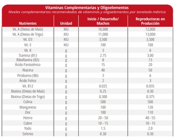 Nutrición de precisión y holística en reproductoras pesadas - Image 21