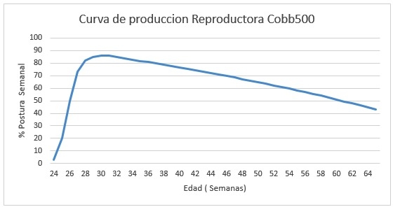 Nutrición de precisión y holística en reproductoras pesadas - Image 4