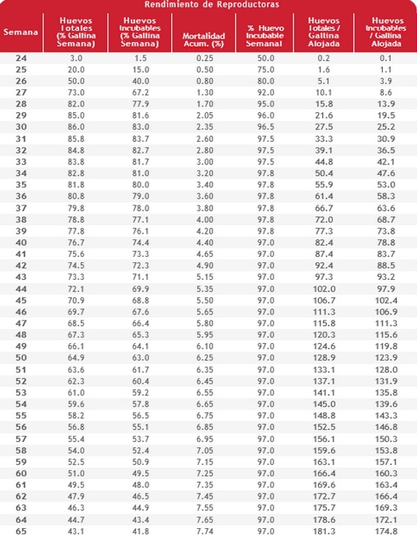 Nutrición de precisión y holística en reproductoras pesadas - Image 3